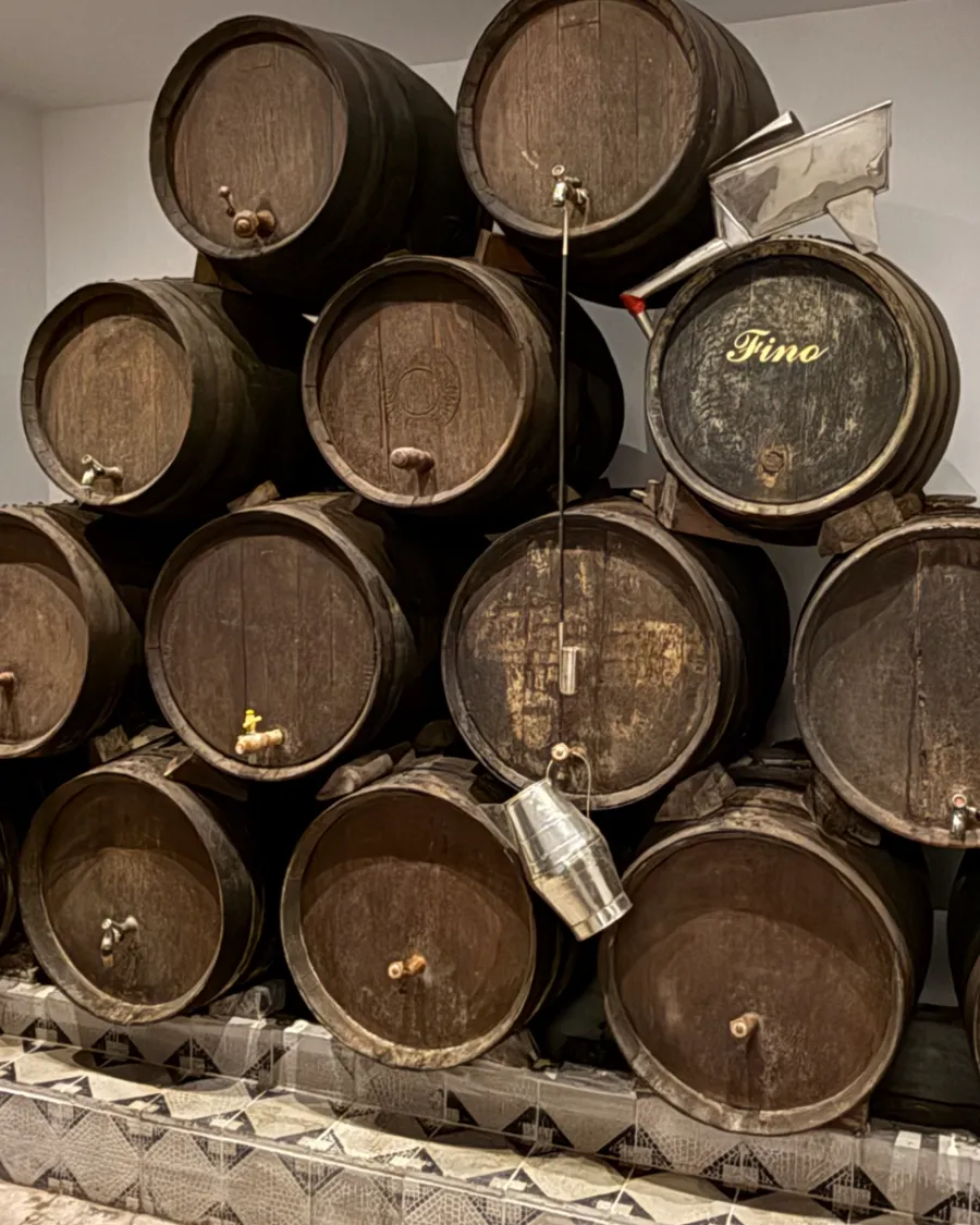 Botas de fino de Montilla-Moriles en la Taberna Góngora